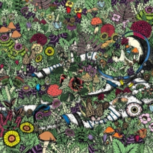 Oozing Wound - Whatever Forever ryhmässä VINYYLI @ Bengans Skivbutik AB (2060758)