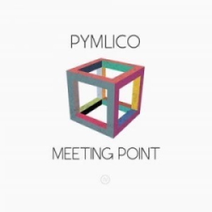 Pymlico - Meeting Point ryhmässä CD @ Bengans Skivbutik AB (2061061)