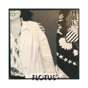 Lambchop - Flotus ryhmässä CD / Pop-Rock @ Bengans Skivbutik AB (2062467)