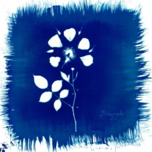 Painted Zeros - Floriography ryhmässä VINYYLI @ Bengans Skivbutik AB (2062535)