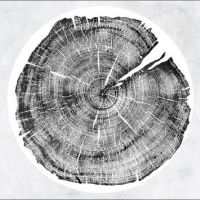 Montgomery Roy - M: Darkmotif Dancehall ryhmässä VINYYLI @ Bengans Skivbutik AB (2069887)