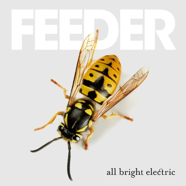 Feeder - All Bright Electric (Deluxe Edition ryhmässä VINYYLI / Myydyimmät @ Bengans Skivbutik AB (2070749)