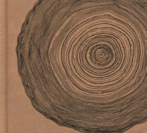 Ó - Year Of The Rabbit (Deluxe Cd ryhmässä CD @ Bengans Skivbutik AB (2071565)