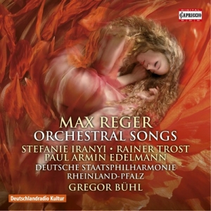 Soloists / Deutsche Staatsphilharmo - Orchestral Songs ryhmässä CD @ Bengans Skivbutik AB (2072051)