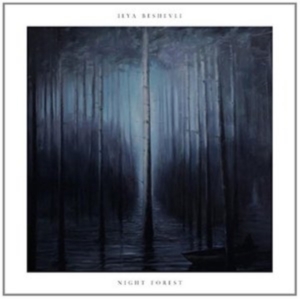 Beshevli Ilya - Night Forest ryhmässä CD @ Bengans Skivbutik AB (2074166)