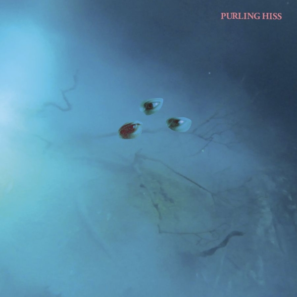 Purling Hiss - High Bias ryhmässä VINYYLI / Myydyimmät @ Bengans Skivbutik AB (2084209)