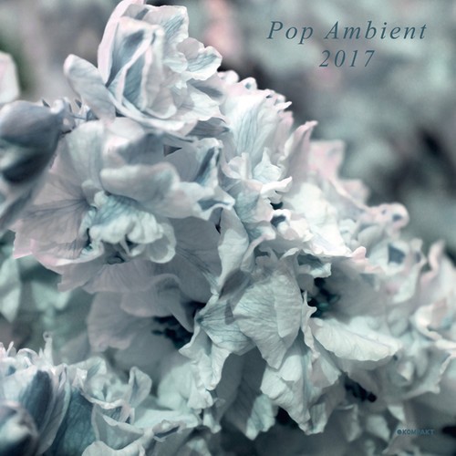 Blandade Artister - Pop Ambient 2017 ryhmässä VINYYLI / Myydyimmät @ Bengans Skivbutik AB (2098411)
