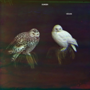 Dungen - Häxan ryhmässä Minishops / Dungen @ Bengans Skivbutik AB (2101159)