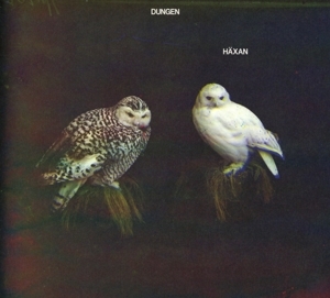 Dungen - Häxan ryhmässä CD @ Bengans Skivbutik AB (2101159)
