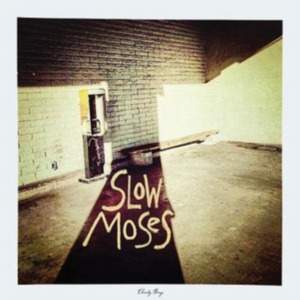 Slow Moses - Charity Binge (Blue Vinyl) ryhmässä VINYYLI @ Bengans Skivbutik AB (2116228)