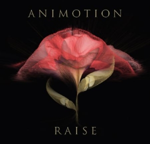 Animotion - Raise Your Expectations ryhmässä VINYYLI @ Bengans Skivbutik AB (2168075)