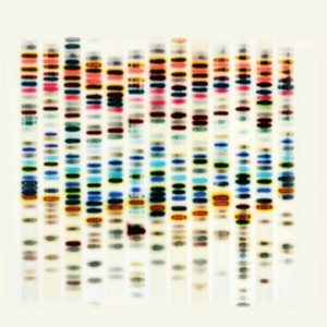 St 37 - I'm Not Good ryhmässä CD @ Bengans Skivbutik AB (2250194)