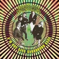 Hillage Steve - Madison Square Garden 1977 ryhmässä VINYYLI @ Bengans Skivbutik AB (2250327)