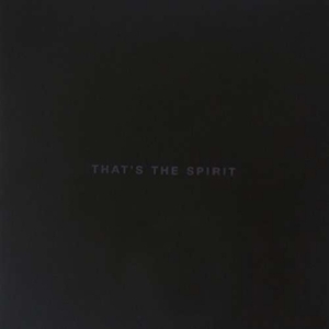 Bring Me The Horizon - That's The Spirit ryhmässä CD @ Bengans Skivbutik AB (2262308)