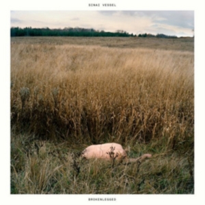 Sinai Vessel - Brokenlegged ryhmässä VINYYLI @ Bengans Skivbutik AB (2278936)
