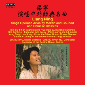 Ning Liang Central Opera Orchestra - Opera Arias By Gounod And Mozart An ryhmässä CD @ Bengans Skivbutik AB (2279361)