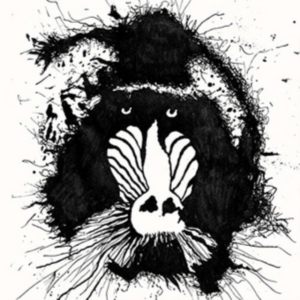 Feral Ohms - Feral Ohms ryhmässä CD @ Bengans Skivbutik AB (2366323)