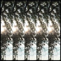 Pontiak - Dialectic Of Ignorance ryhmässä VINYYLI @ Bengans Skivbutik AB (2391945)