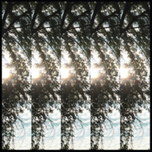 Pontiak - Dialectic Of Ignorance ryhmässä CD @ Bengans Skivbutik AB (2391946)