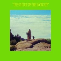 Sun Araw - The Saddle Of The Increate ryhmässä VINYYLI @ Bengans Skivbutik AB (2392777)