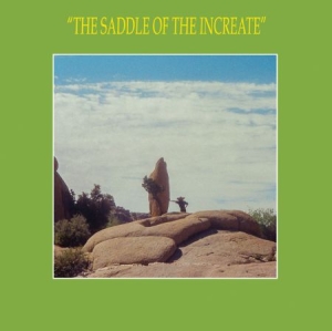 Sun Araw - Saddle Of The Increate ryhmässä CD @ Bengans Skivbutik AB (2392778)