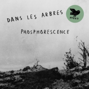 Dans Les Arbres - Phosphorensence ryhmässä CD @ Bengans Skivbutik AB (2396044)