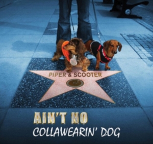 Piper & Scooter - Ain't No Collawearin' Dog ryhmässä CD @ Bengans Skivbutik AB (2396880)