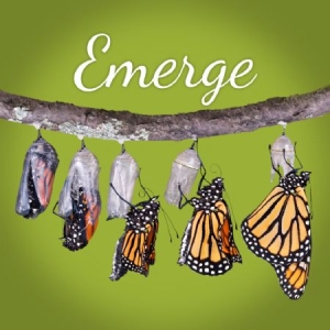 Polska Orkiestra Radiowa / Pol - Emerge ryhmässä CD @ Bengans Skivbutik AB (2400083)