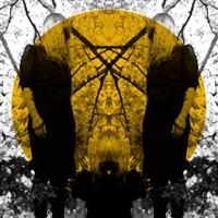 Austra - Feel It Break ryhmässä VINYYLI @ Bengans Skivbutik AB (2405658)