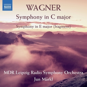 Mdr Leipzig Radio Symphony Orchestr - Symphony In C Major ryhmässä CD @ Bengans Skivbutik AB (2405726)