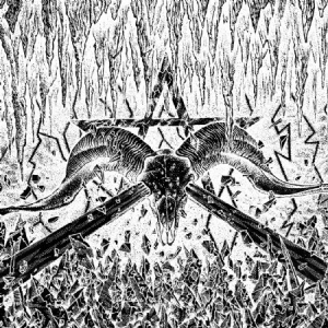 Cotton Wolf - Ofni ryhmässä VINYYLI @ Bengans Skivbutik AB (2414063)