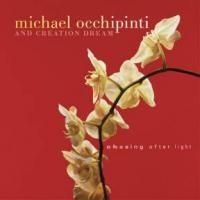 Occhipinti   Michael - Chasing After Light ryhmässä CD @ Bengans Skivbutik AB (2414178)