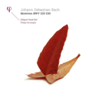 Collegium Vocale Gent Philippe Her - Motetten Bwv 225-230 (2 Lp) ryhmässä VINYYLI @ Bengans Skivbutik AB (2414352)