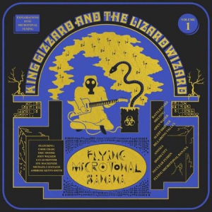 King Gizzard & The Lizard Wizard - Flying Microtonal Banana ryhmässä Minishops / King Gizzard @ Bengans Skivbutik AB (2422652)