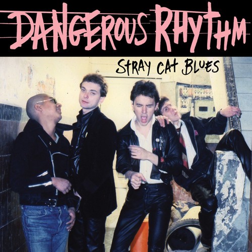 Dangerous Rhythm - Stray Cats Blues ryhmässä VINYYLI / Rock @ Bengans Skivbutik AB (2429192)