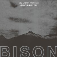 Bison - You Are Not The Ocean You Are The P ryhmässä VINYYLI / Myydyimmät @ Bengans Skivbutik AB (2437222)