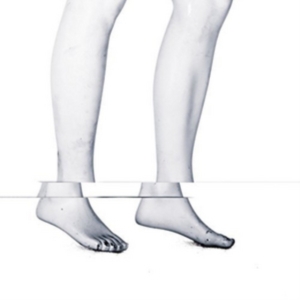 Echolust - Veldisa ryhmässä CD @ Bengans Skivbutik AB (2443886)