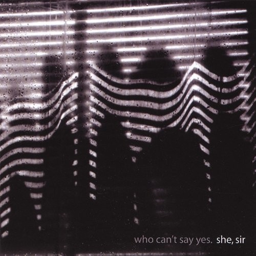 She Sir - Who Can't Say Yes ryhmässä VINYYLI / Rock @ Bengans Skivbutik AB (2478655)