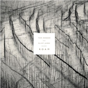 Hobden Tom And Eliot James - Present: Roam ryhmässä VINYYLI @ Bengans Skivbutik AB (2478821)