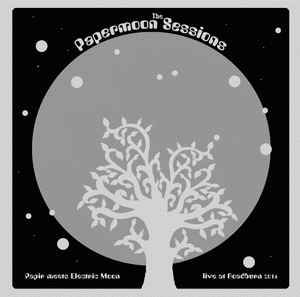 Papir Meets Electric Moon - Papermoon Sessions-Live At Roadburn ryhmässä VINYYLI @ Bengans Skivbutik AB (2478887)