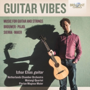 Various - Guitar Vibes ryhmässä CD @ Bengans Skivbutik AB (2491282)