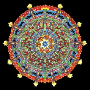 Of Montreal - Hissing Fauna, Are You The Des ryhmässä VINYYLI @ Bengans Skivbutik AB (2498932)