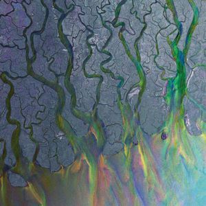 Alt-J - An Awesome Wave ryhmässä VINYYLI @ Bengans Skivbutik AB (2516602)