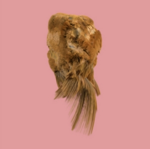 HOLY FAMILY - VALUES ryhmässä CD @ Bengans Skivbutik AB (2520056)