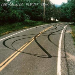 Ranaldo Lee - Electric Trim ryhmässä CD @ Bengans Skivbutik AB (2520064)