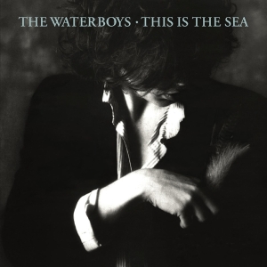 The Waterboys - This Is The Sea ryhmässä CD @ Bengans Skivbutik AB (2527346)
