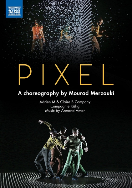 Various - Pixel (Dvd) ryhmässä Externt_Lager / Naxoslager @ Bengans Skivbutik AB (2527353)