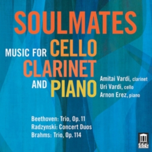 Beethoven Ludwig Van Brahms Joha - Soulmates ryhmässä CD @ Bengans Skivbutik AB (2527357)