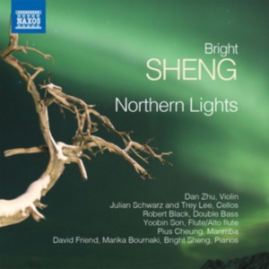 Sheng Bright - Northern Lights ryhmässä CD @ Bengans Skivbutik AB (2527409)