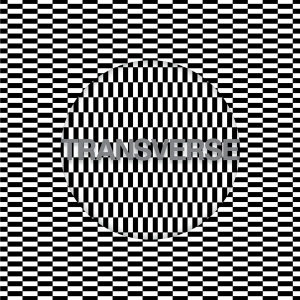 Carter Tutti Void - Transverse ryhmässä CD @ Bengans Skivbutik AB (2528534)